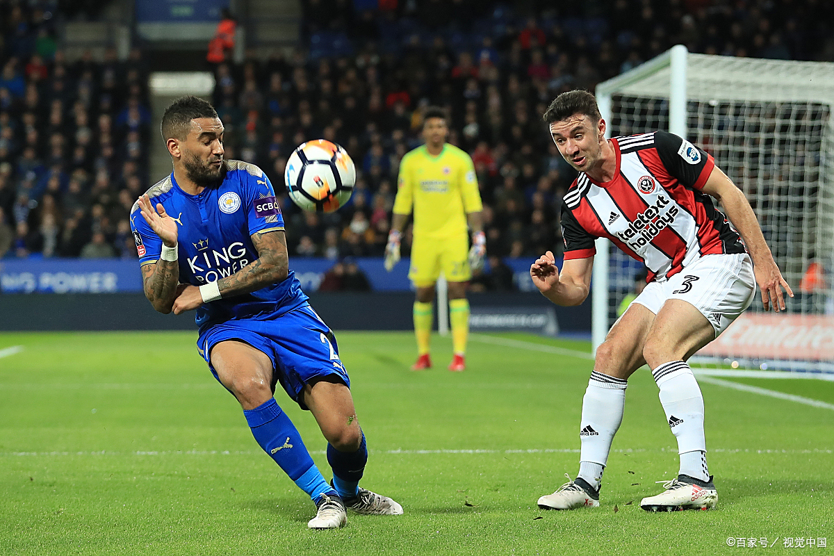 杏彩体育网页版入口-都灵苦战不懈，主场击败对手的简单介绍