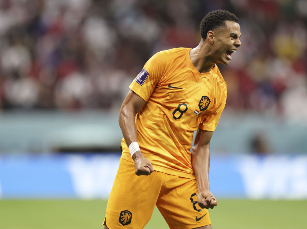 惊喜!荷兰队在欧预赛中击败强敌! 惊喜!荷兰队在欧预赛中击败强敌!