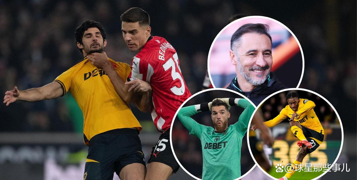 杏彩体育官网-关于狼队主场失利，保级压力加大的信息